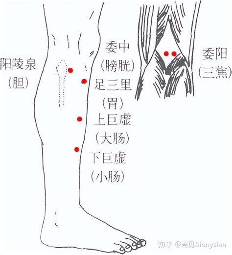 合穴